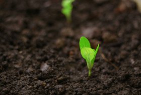 Sustainable Water Management: The Power of SOCO® Superabsorbent Polymers