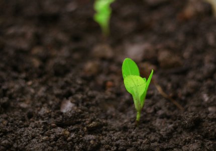 Sustainable Water Management: The Power of SOCO® Superabsorbent Polymers