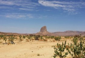 What Is Salt- and Alkali-Resistant Soil Hydrogel and How Do I Use It to Boost Yields in Saline Soils?