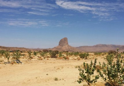 What Is Salt- and Alkali-Resistant Soil Hydrogel and How Do I Use It to Boost Yields in Saline Soils?