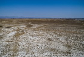 How Can Salt-Tolerant Superabsorbent Polymers Improve Saline-Alkali Soil and Increase Crop Yield?