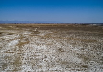 How Can Salt-Tolerant Superabsorbent Polymers Improve Saline-Alkali Soil and Increase Crop Yield?