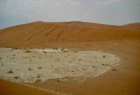 Combatting Soil Salinity: Why Salt-Tolerant Superabsorbent Polymers are the Future of Global Agriculture