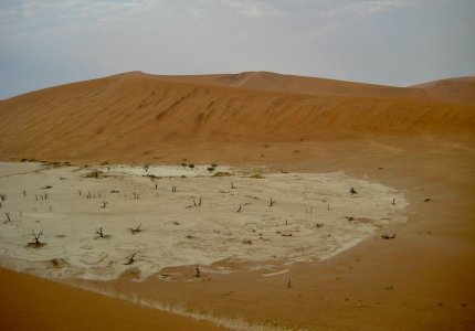 Combatting Soil Salinity: Why Salt-Tolerant Superabsorbent Polymers are the Future of Global Agriculture