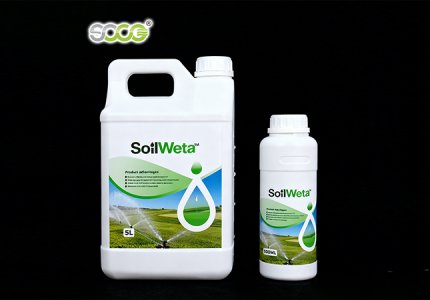 Why Your Soil is "Afraid" of Water—and How to Fix It