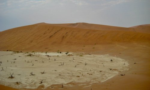 Salt-alkali Relief