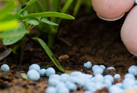Why Your Fertilizer Strategy is Failing (And How Fertisorb Fixes It)