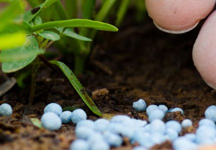 Why Your Fertilizer Strategy is Failing (And How Fertisorb Fixes It)
