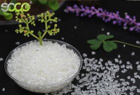 Engineering the Next Generation of Agricultural Hydrogels for Saline-Alkali Land Reclamation