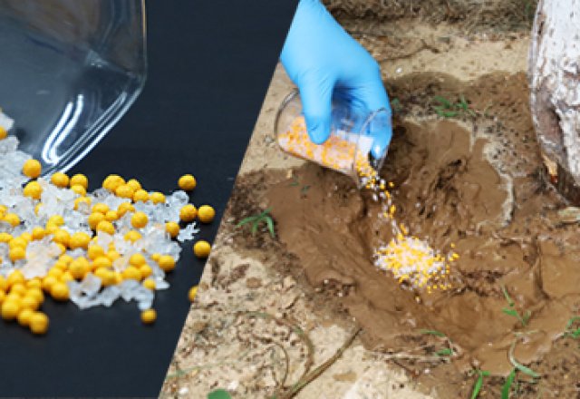 Fertilizer Efficiency