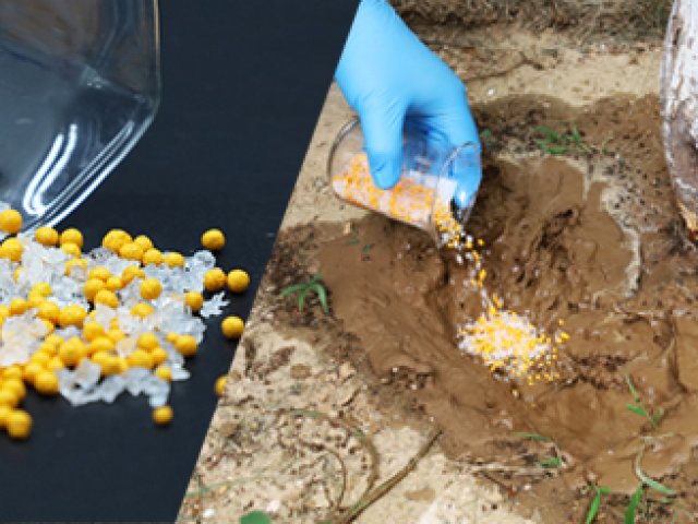Fertilizer Efficiency