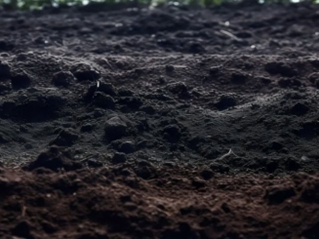 Soil Structure