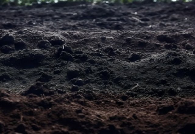 Soil Structure
