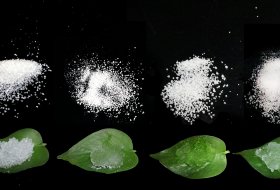 How Soil Hydrogel Maximizes Transplant Survival & Root Recovery
