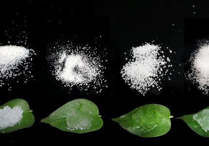 How Soil Hydrogel Maximizes Transplant Survival & Root Recovery