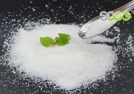 How HORTISORB™ Soil Hydrogel Cuts Irrigation Frequency and Boosts Plant Health