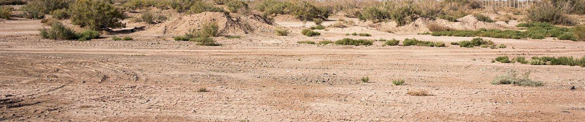 Salt and Alkali Resistance