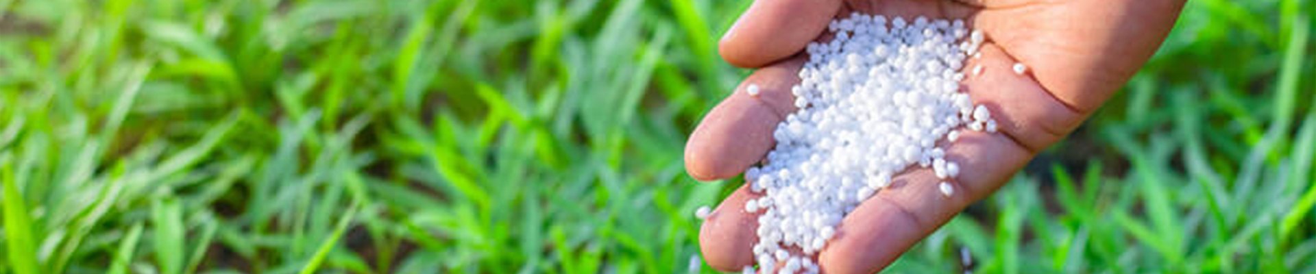 Fertilizer Efficiency