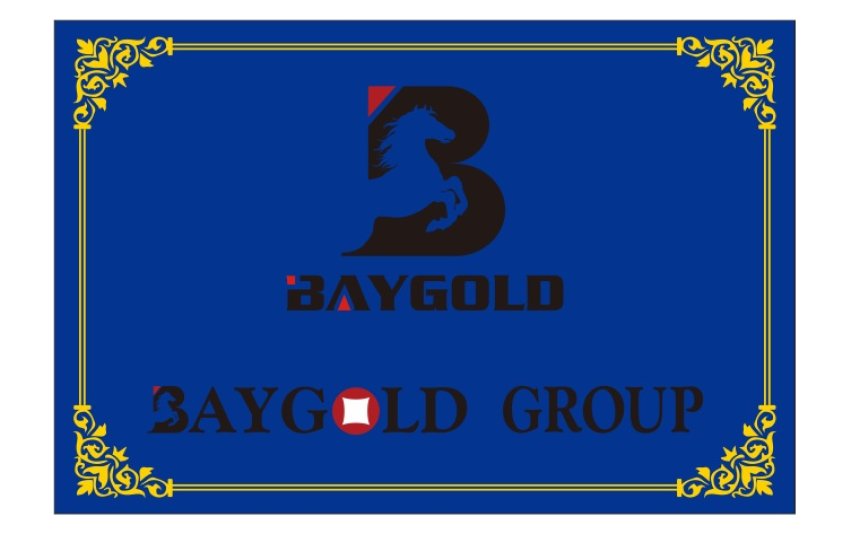 Leading the way in the tire industry