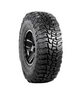 Mickey Thompson Tires Baygold