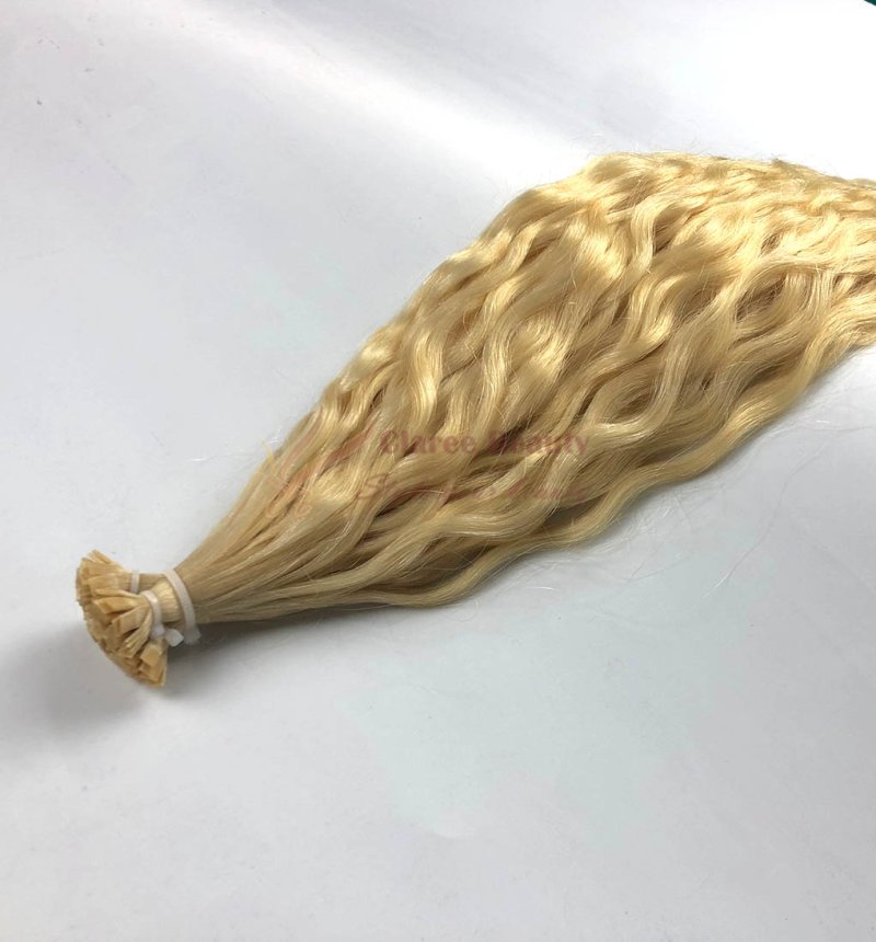 Flat Tip Pre Bonded Fusion Hair Extensions #NW