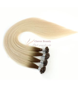 _0003_U Tip Hair Extension-T6-60