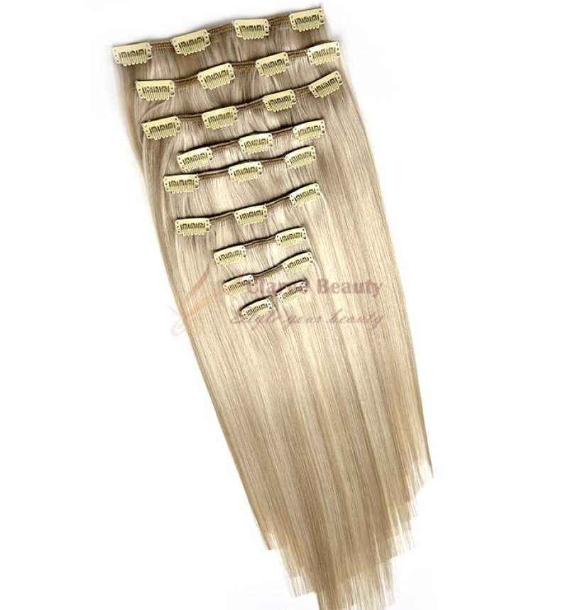 Normal Clip In Hair Extensions Light Color