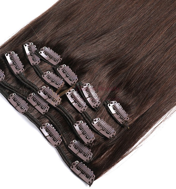 _0002_Normal Clip In Hair Extension-2