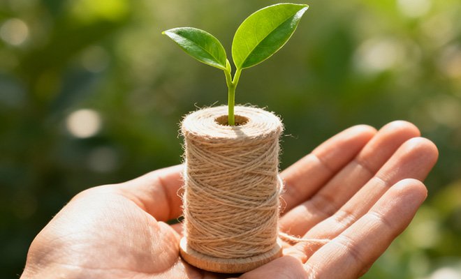 Talent and Sustainability