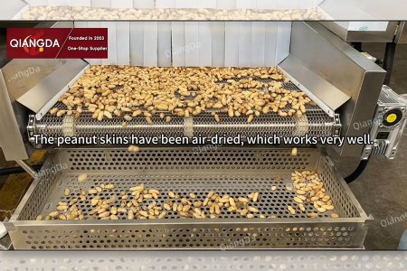 Qiangda Machinery Factory conducted on-site testing of its air-dried peanut machine.