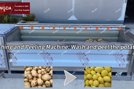 Washing and Peeling Machine: Wash and peel the potatoes Test Machine
