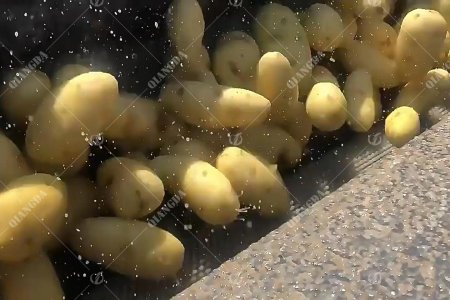 Zhucheng Qiangda Machinery Factory, French Frying Line