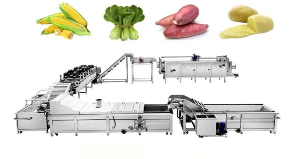Zhucheng Qiangda Launches Industrial-Grade Continuous Vegetable Processing & Drying Line
