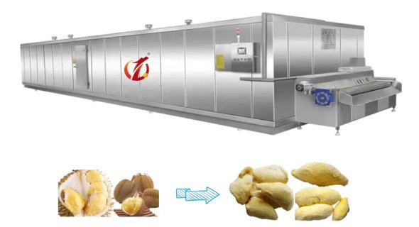 Iqf-individual quick freezing-tunnel freezer