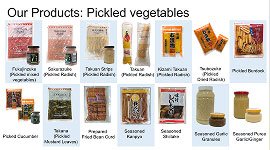 Our Product Catalog Name 01