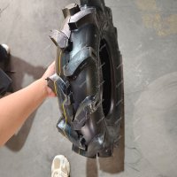 _0135_IMG_20250515_135935