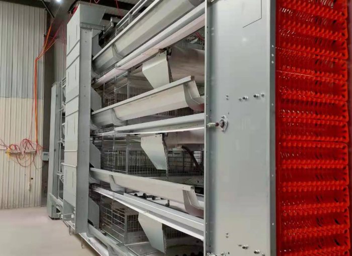 Equipamento completo e automatizado para criação de galinhas poedeiras