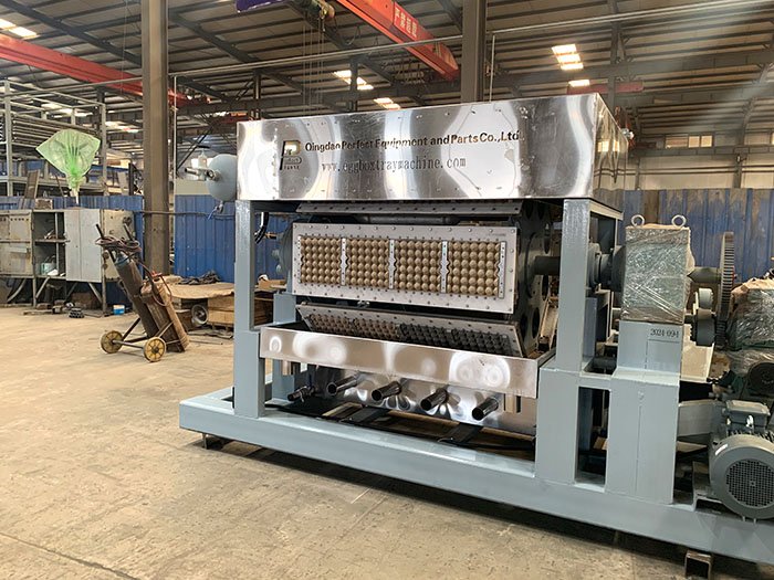 Máquina automática para fabricar bandejas de huevos A4000