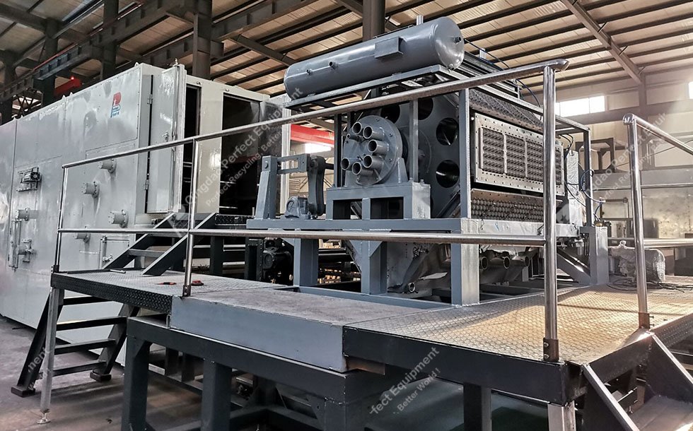 Máquina para fabricar bandejas de huevos 2