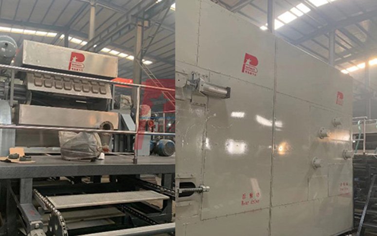 Máquina moldeadora automática de bandejas de pulpa de papel 4-4 para clientes de Malasia, envío finalizado.