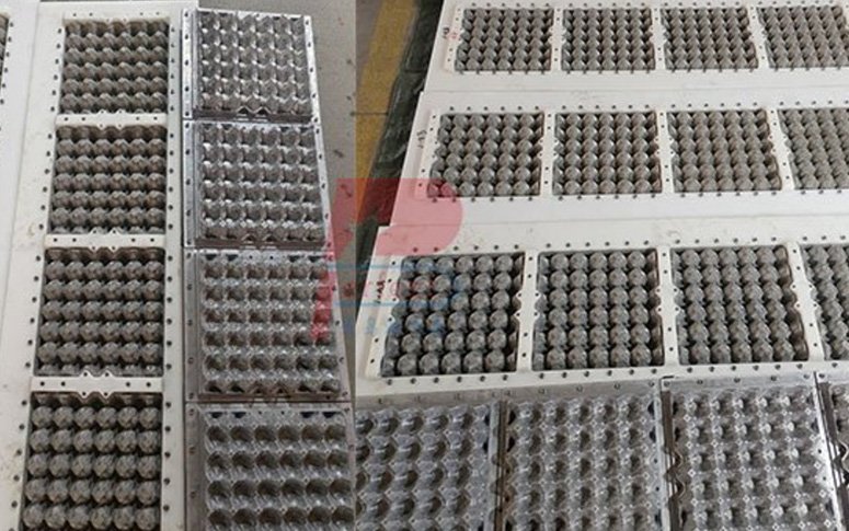 Máquina automática para fabricar bandejas de huevos con moldes de aluminio enviada a Tailandia