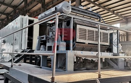 Entrega a cliente de Venezuela máquina automática para fabricar bandejas de huevos de 4 a 8 piezas