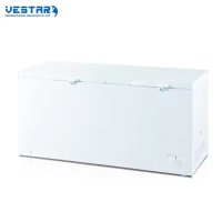 Industry Disruption: New Freezer Tech Cuts Energy Use by 50%