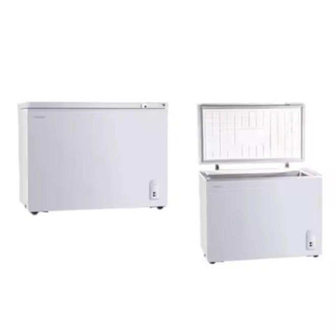 Eco-Friendly Freezers with Green Refrigerants - Safe for Environment