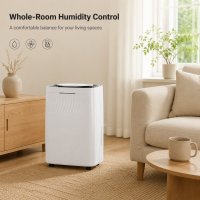 dehumidifier