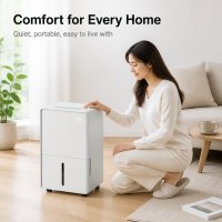 Dehumidifier