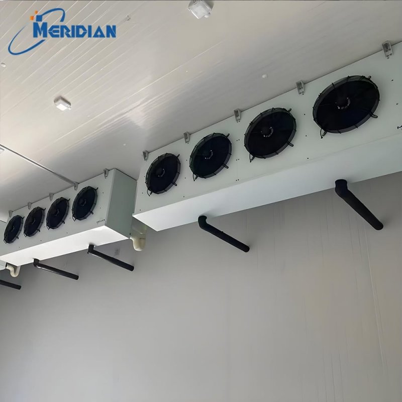 Meat Cold Storage Room | Freezer Storage for Meat Products