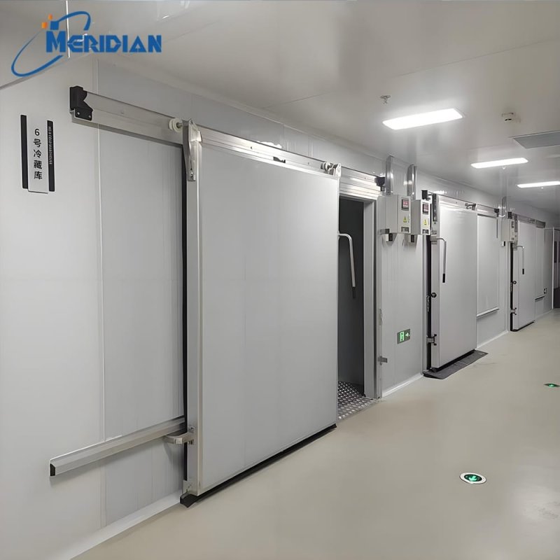 Meat Cold Storage Room | Freezer Storage for Meat Products
