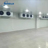 Fishing port blast freezer for quick chilling