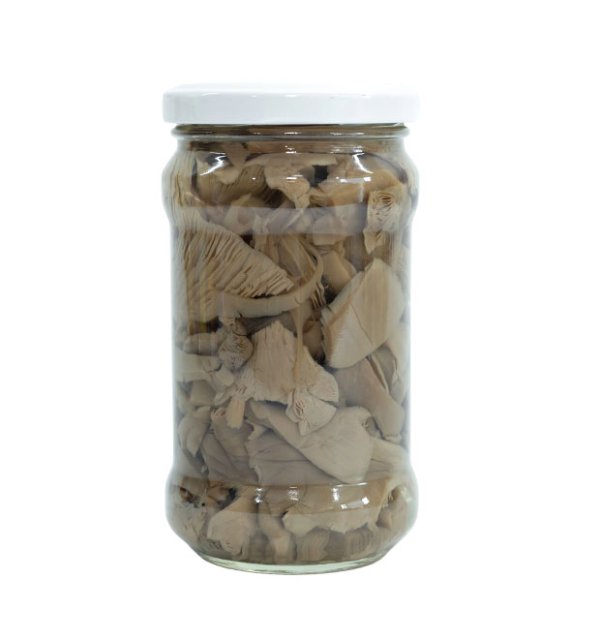 Canned grey oyster mushroom in brine